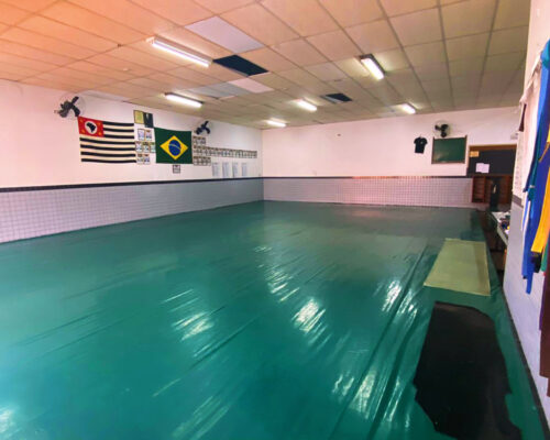Sala de Jiu-jitsu e Judô